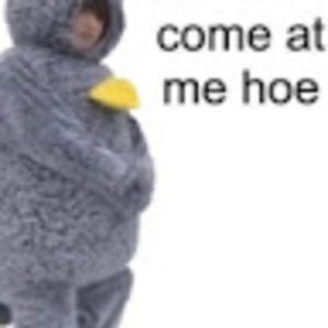 Meet your Posher, Piper